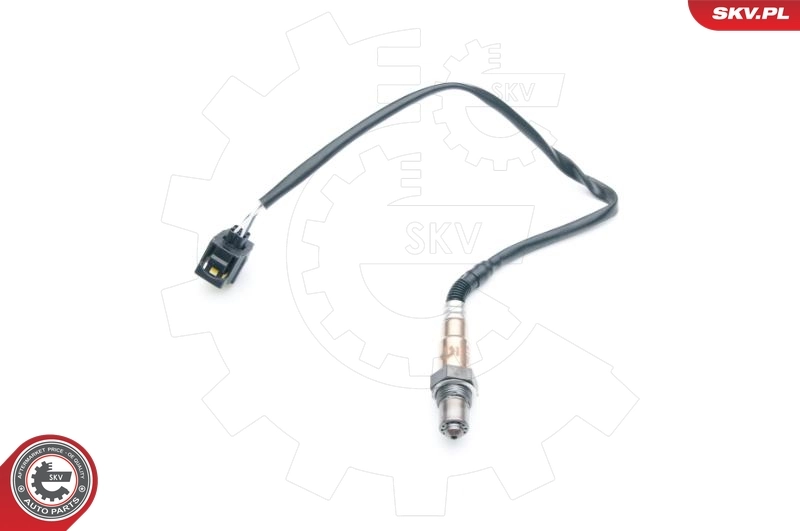 Oxygen Sensor